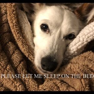 Meet your Posher, Katharine